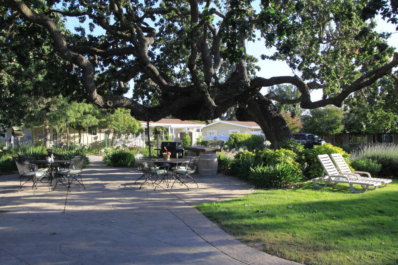 Meadowlark Inn Solvang Extérieur photo