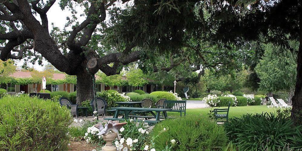 Meadowlark Inn Solvang Extérieur photo
